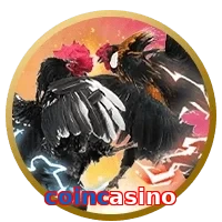 coincasino